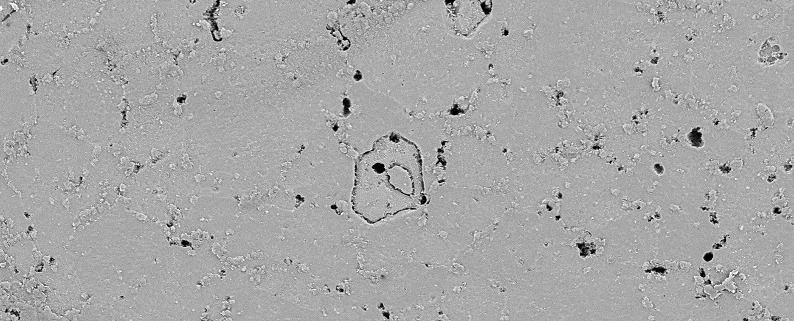 SuperSEM N10桌面式扫描电镜在铝合金夹杂物中的应用