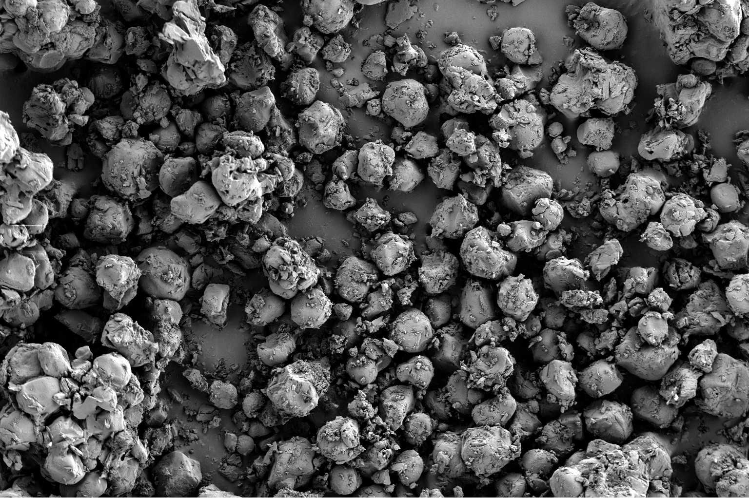 扫描电镜在药品研发与质量控制中的应用(图7) 扫描电镜在药品研发与质量控制中的应用(图7)