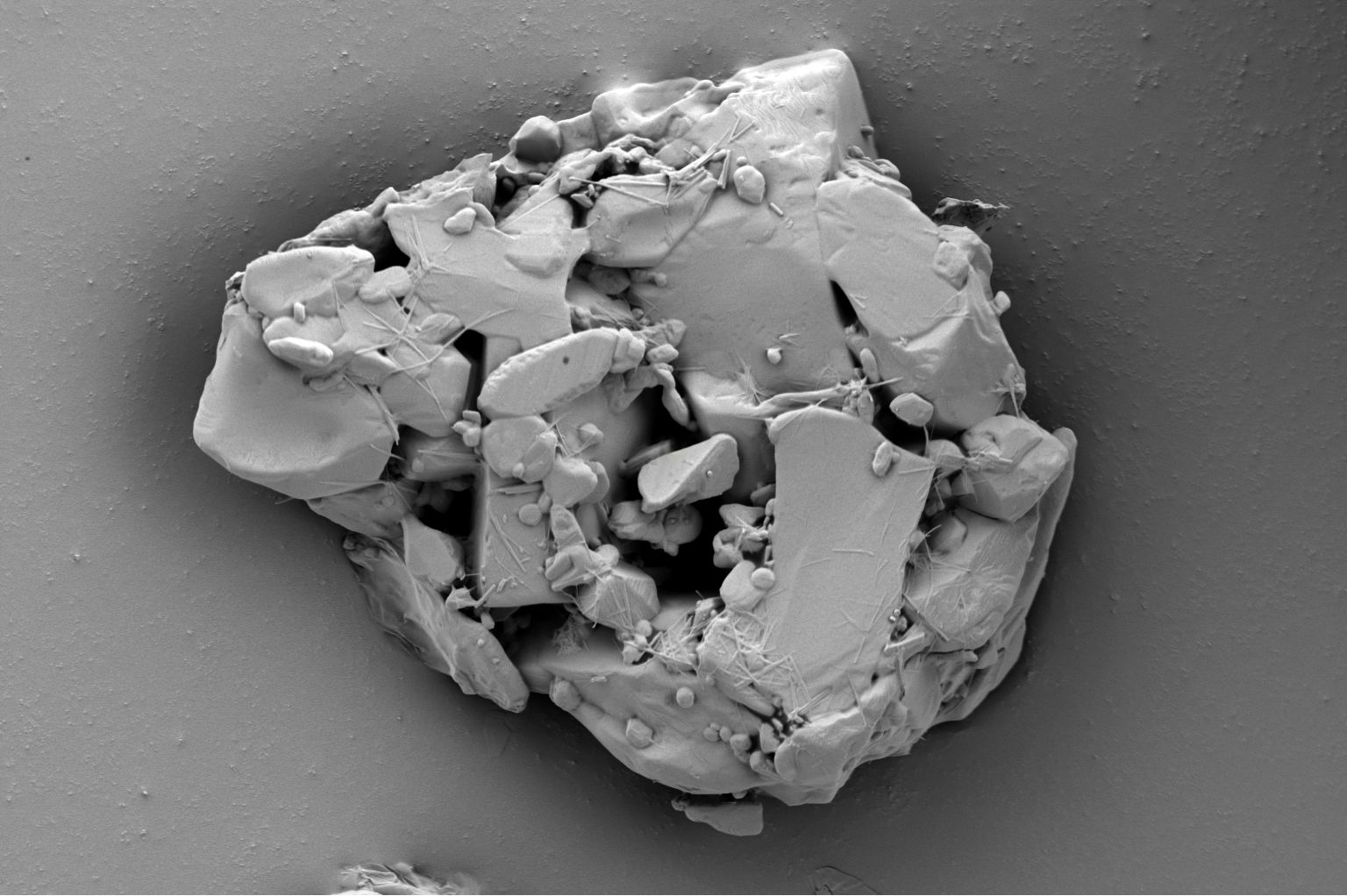 扫描电镜在药品研发与质量控制中的应用(图8) 扫描电镜在药品研发与质量控制中的应用(图8)