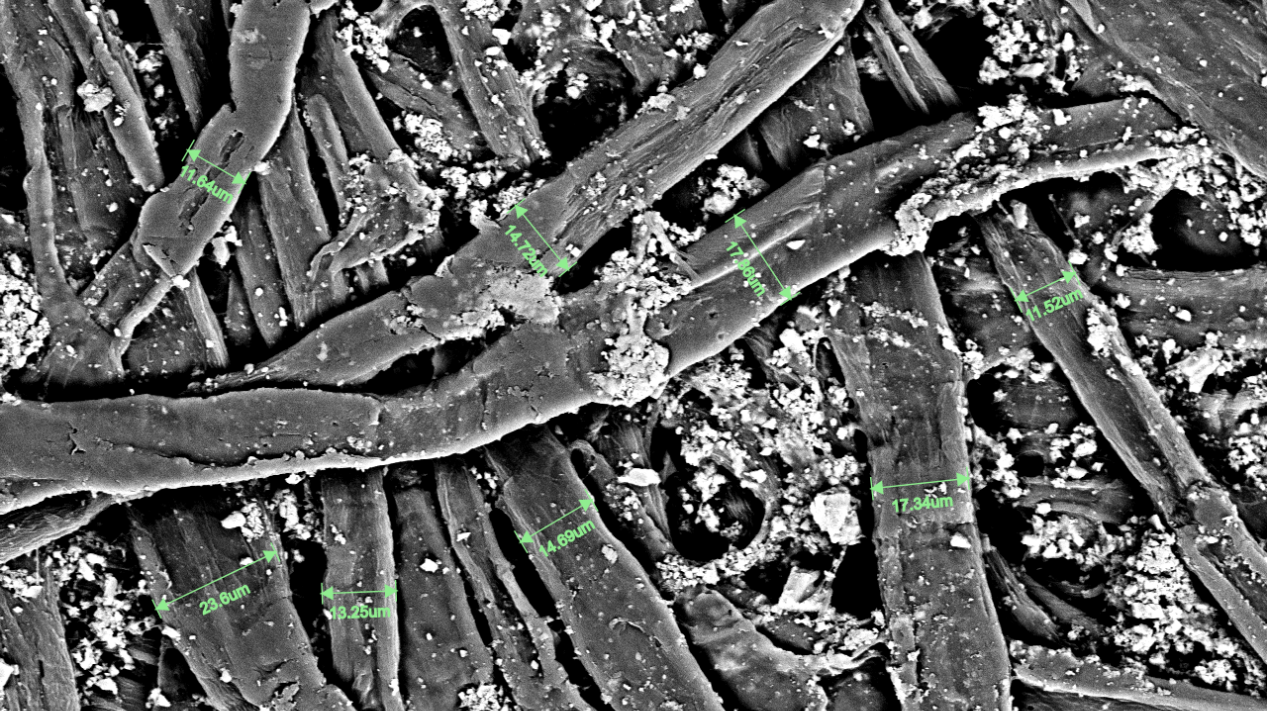 扫描电镜在造纸工业中的综合应用(图1) 扫描电镜在造纸工业中的综合应用(图1)