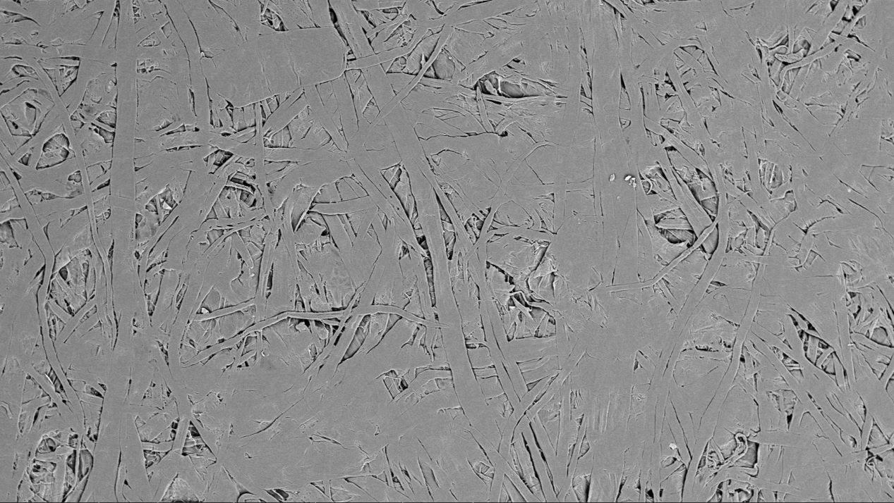 扫描电镜在造纸工业中的综合应用(图3) 扫描电镜在造纸工业中的综合应用(图3)