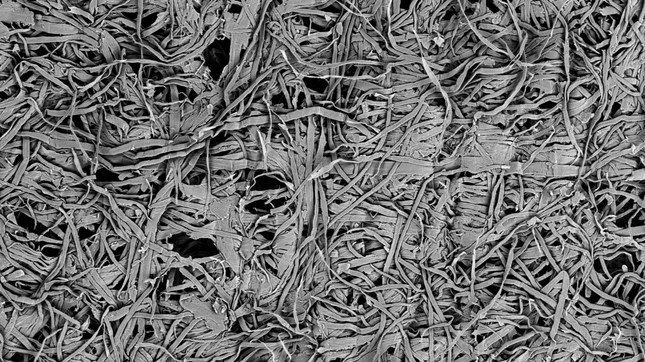 扫描电镜在造纸工业中的综合应用(图5) 扫描电镜在造纸工业中的综合应用(图5)