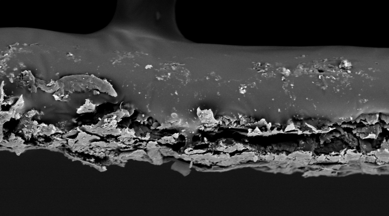 扫描电镜在造纸工业中的综合应用(图8) 扫描电镜在造纸工业中的综合应用(图8)