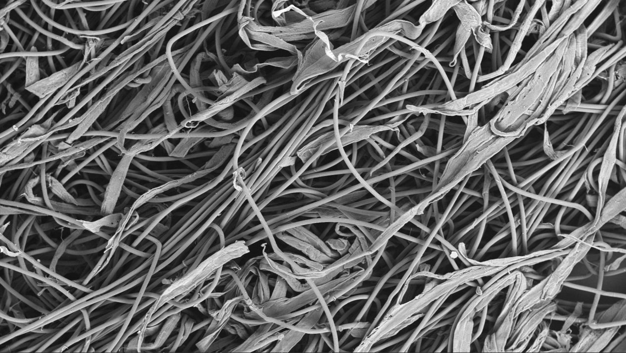 扫描电镜在造纸工业中的综合应用(图6) 扫描电镜在造纸工业中的综合应用(图6)