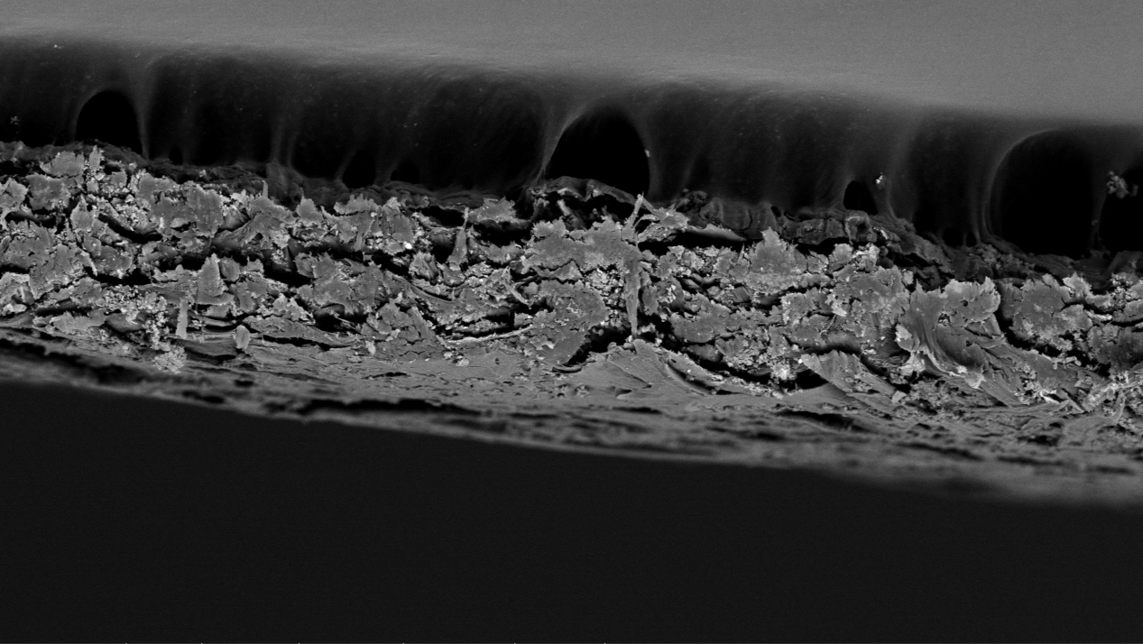 扫描电镜在造纸工业中的综合应用(图7) 扫描电镜在造纸工业中的综合应用(图7)