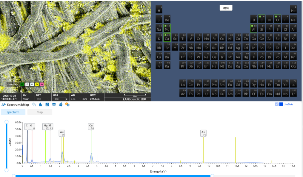 扫描电镜在造纸工业中的综合应用(图9) 扫描电镜在造纸工业中的综合应用(图9)