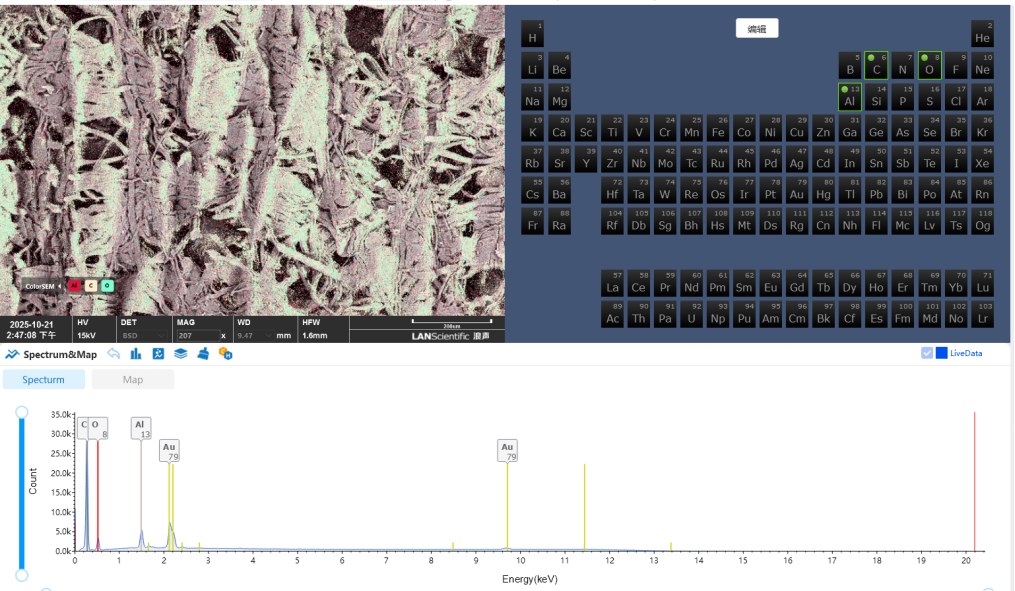 扫描电镜在造纸工业中的综合应用(图12) 扫描电镜在造纸工业中的综合应用(图12)