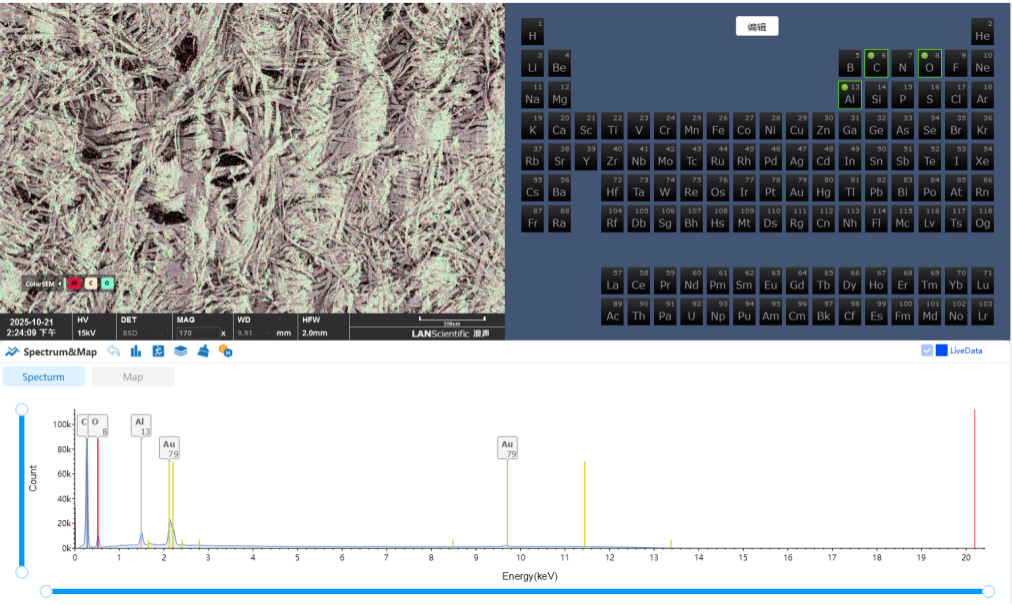 扫描电镜在造纸工业中的综合应用(图13) 扫描电镜在造纸工业中的综合应用(图13)