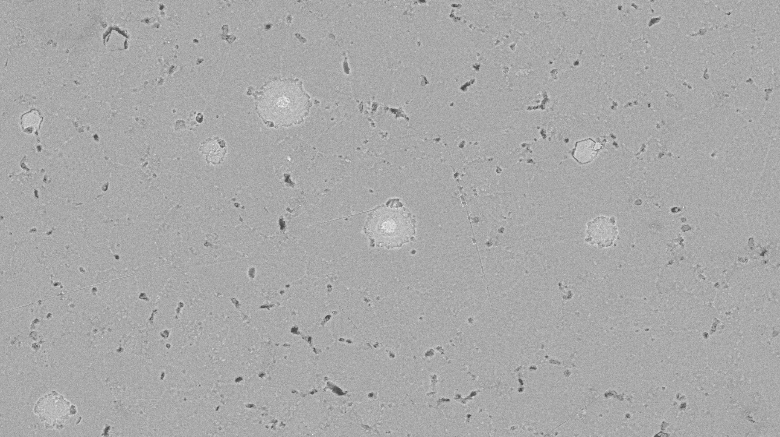 钨灯丝扫描电镜在铝合金夹杂物中的应用(图1) 钨灯丝扫描电镜在铝合金夹杂物中的应用(图1)