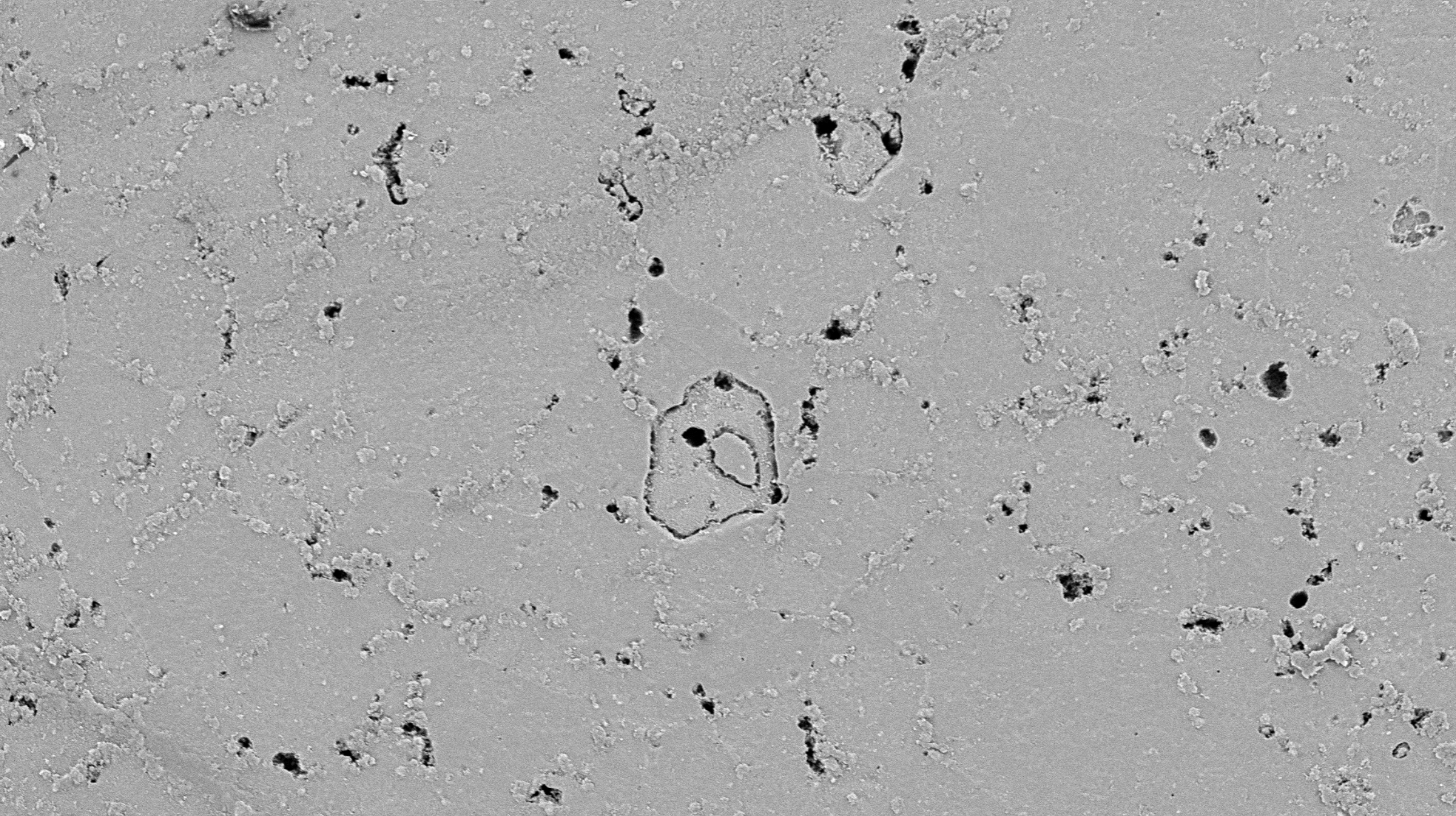 钨灯丝扫描电镜在铝合金夹杂物中的应用(图2) 钨灯丝扫描电镜在铝合金夹杂物中的应用(图2)