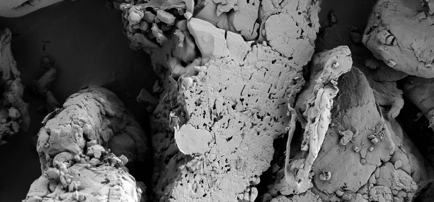 成像迅速，无重影拖影，细节清晰呈现