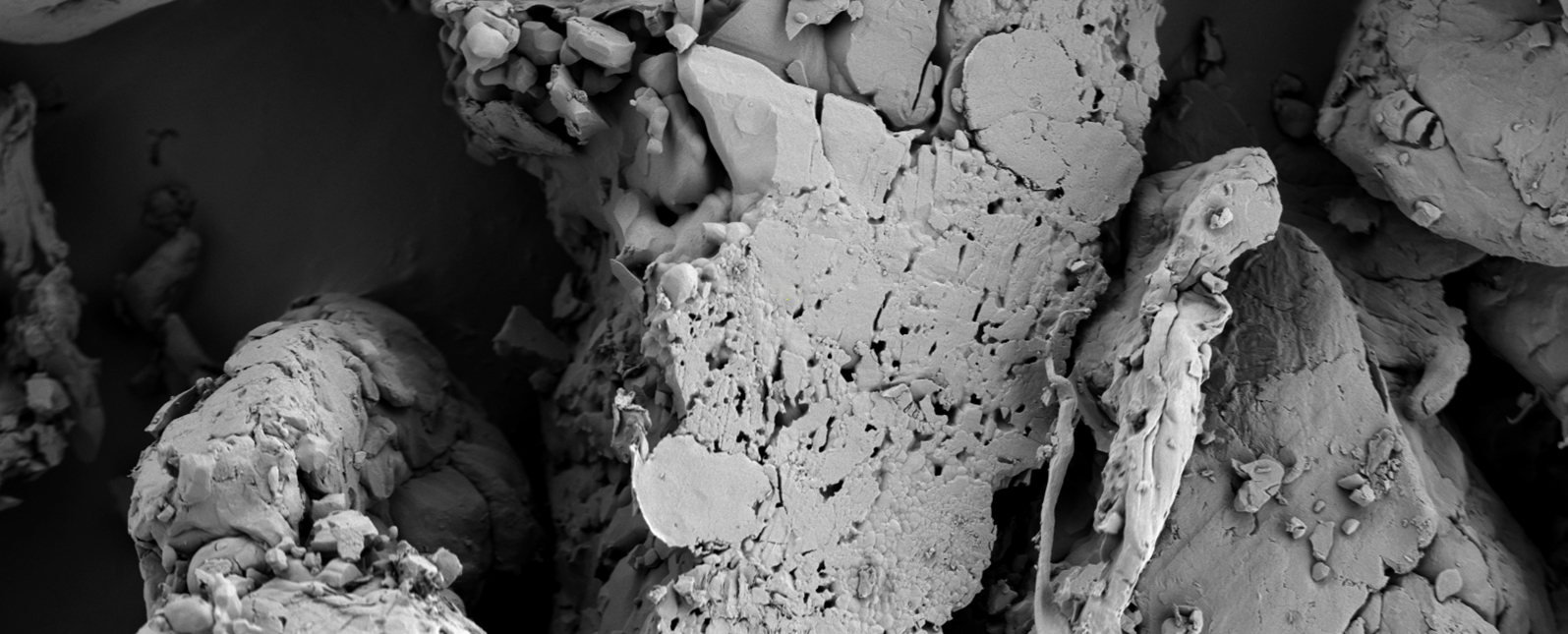 扫描电镜在药品研发与质量控制中的应用