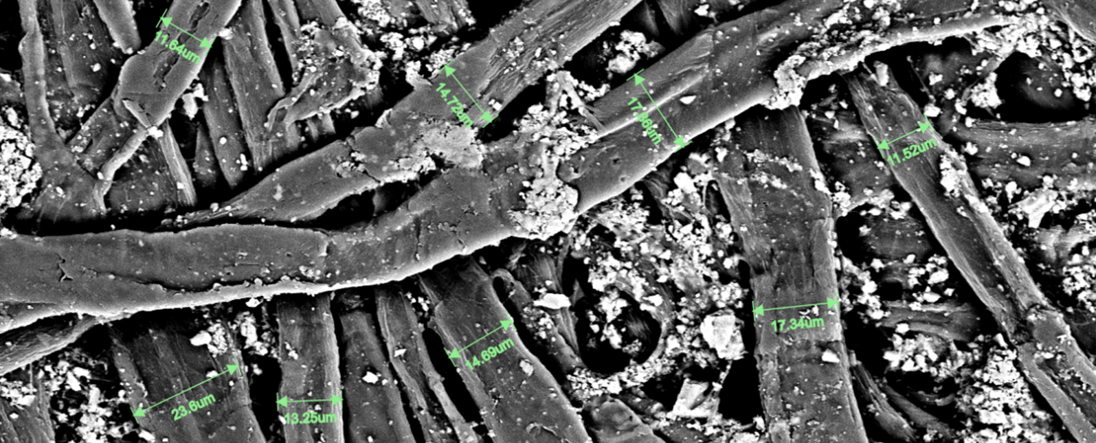 扫描电镜在造纸工业中的综合应用