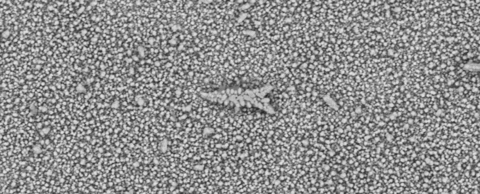  SuperSEM N10eX桌面式扫描电镜在铜箔表面颗粒缺陷检测中的应用