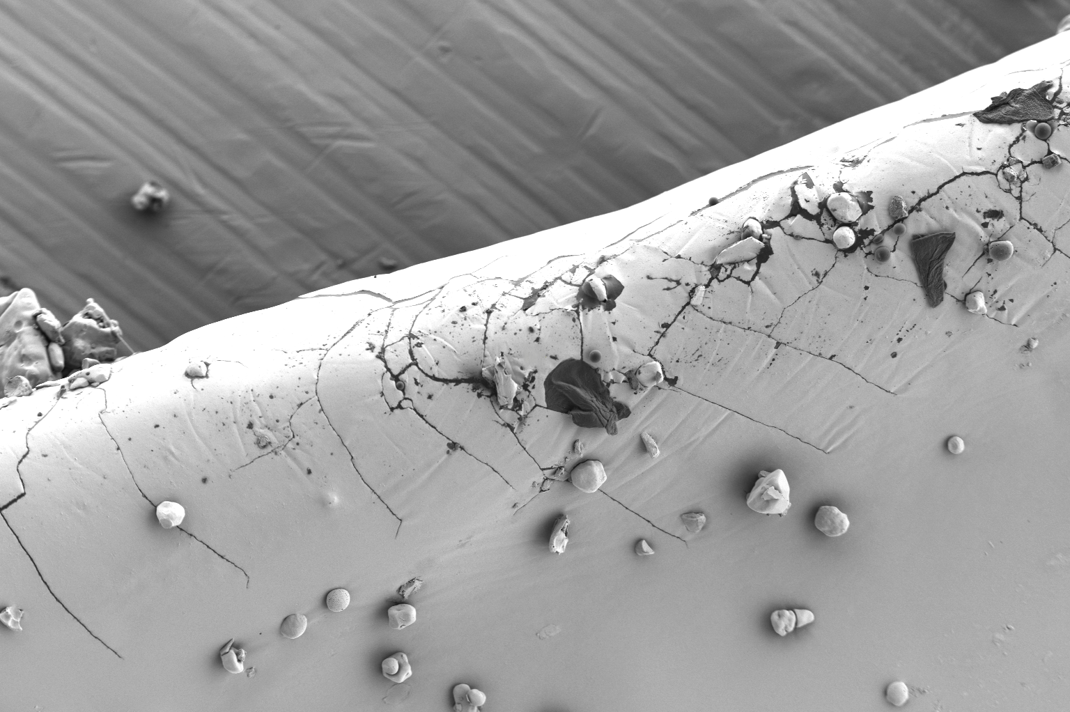 扫描电镜在药品研发与质量控制中的应用(图1) 扫描电镜在药品研发与质量控制中的应用(图1)