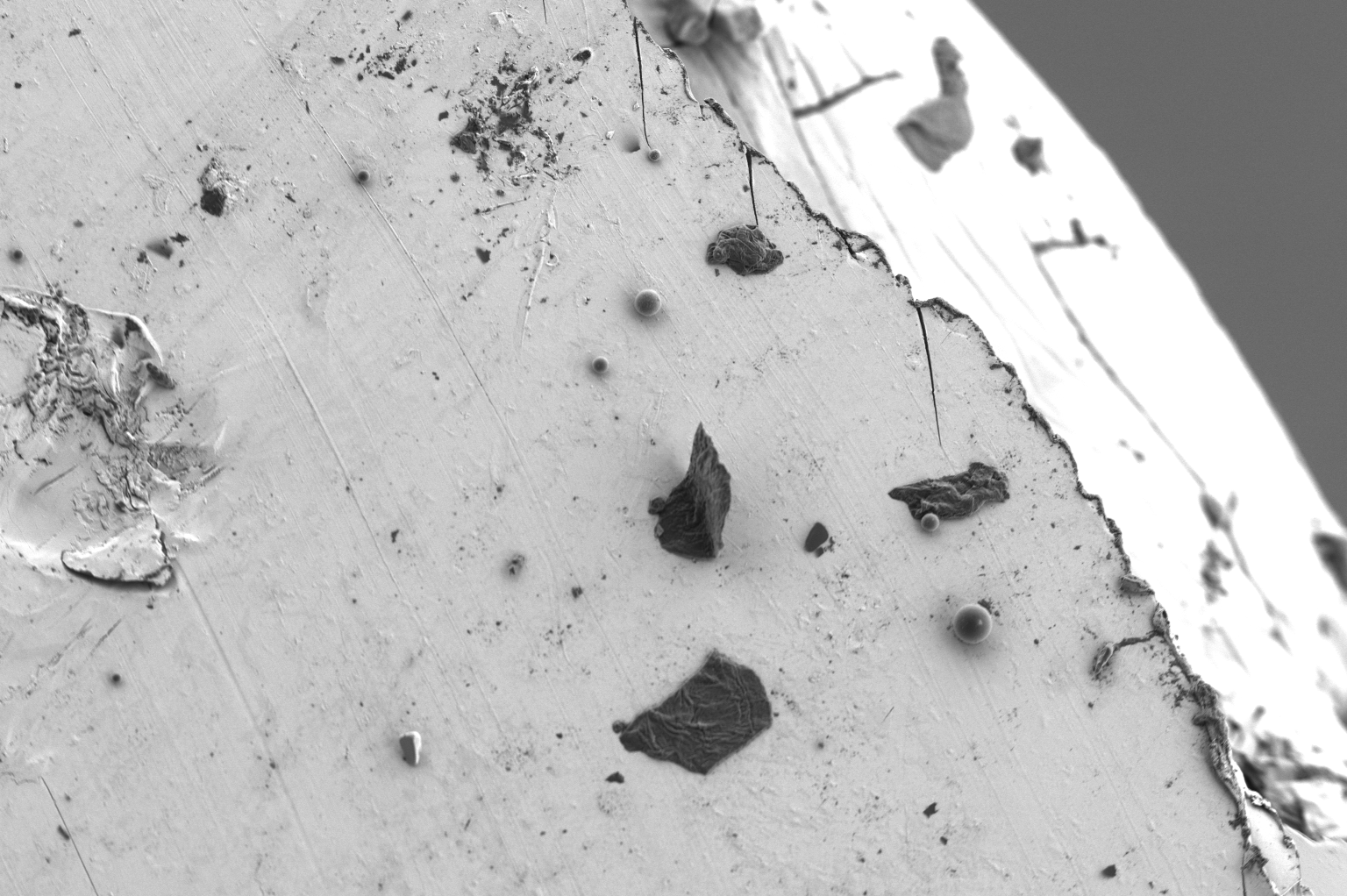 扫描电镜在药品研发与质量控制中的应用(图2) 扫描电镜在药品研发与质量控制中的应用(图2)