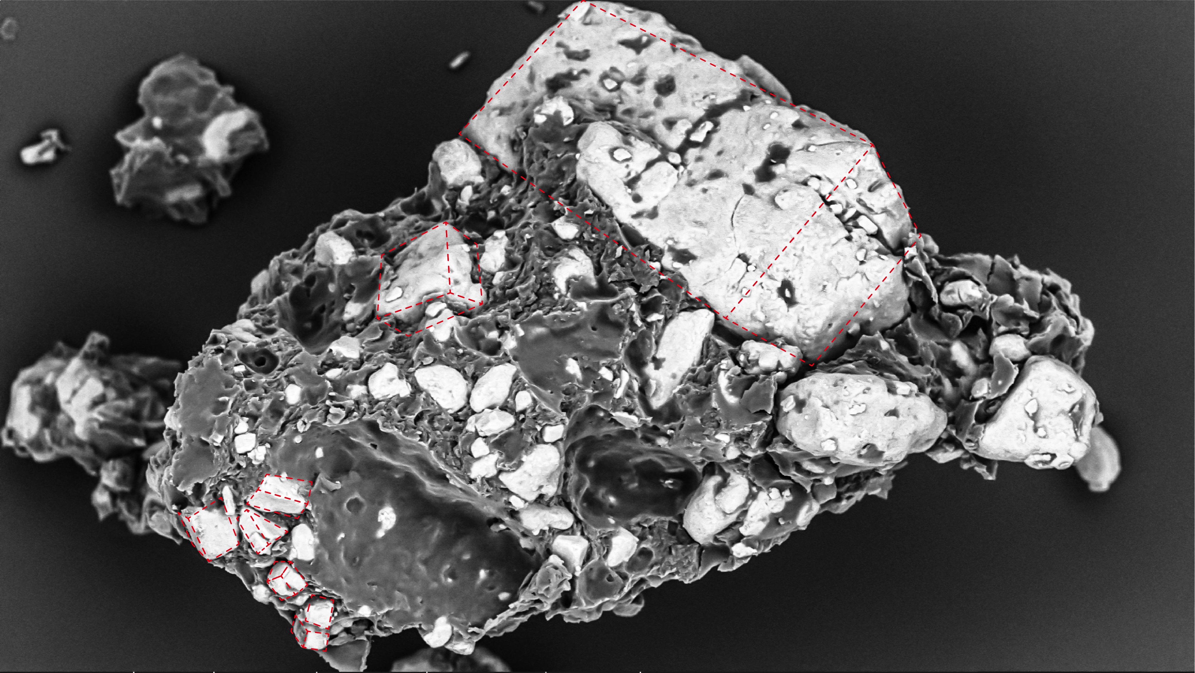 扫描电镜在药品研发与质量控制中的应用(图4) 扫描电镜在药品研发与质量控制中的应用(图4)