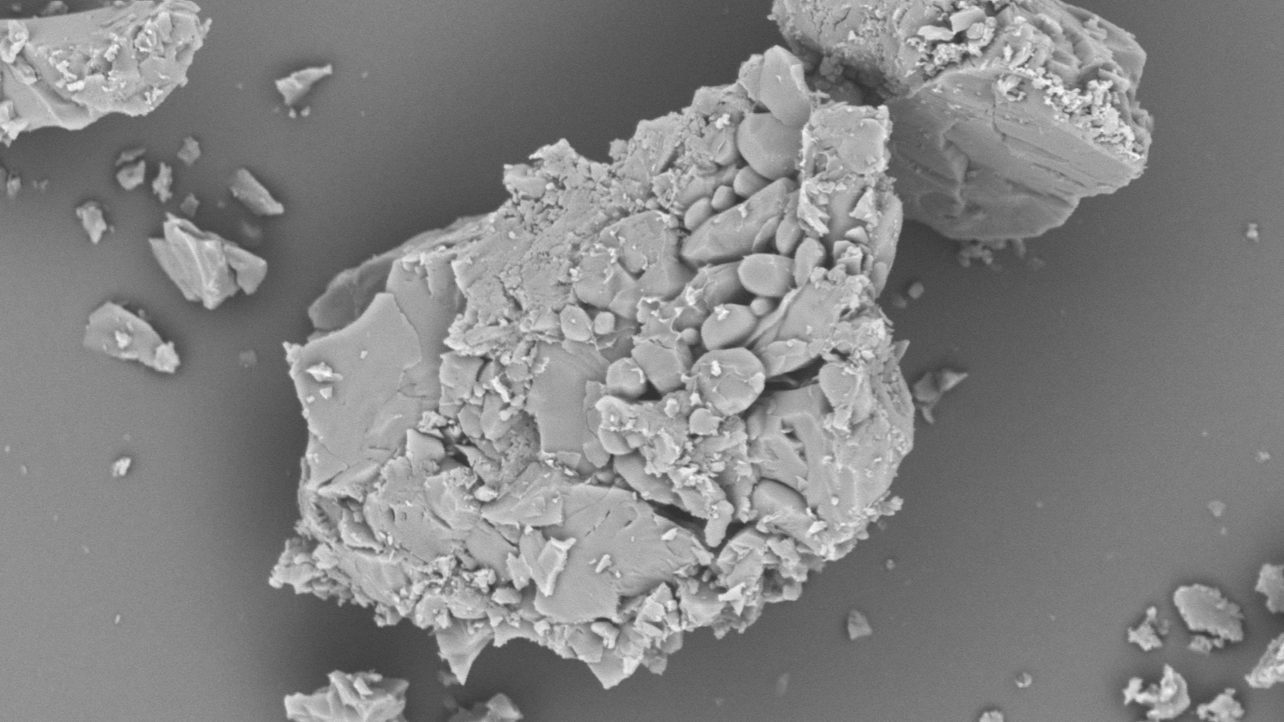 扫描电镜在药品研发与质量控制中的应用(图5) 扫描电镜在药品研发与质量控制中的应用(图5)