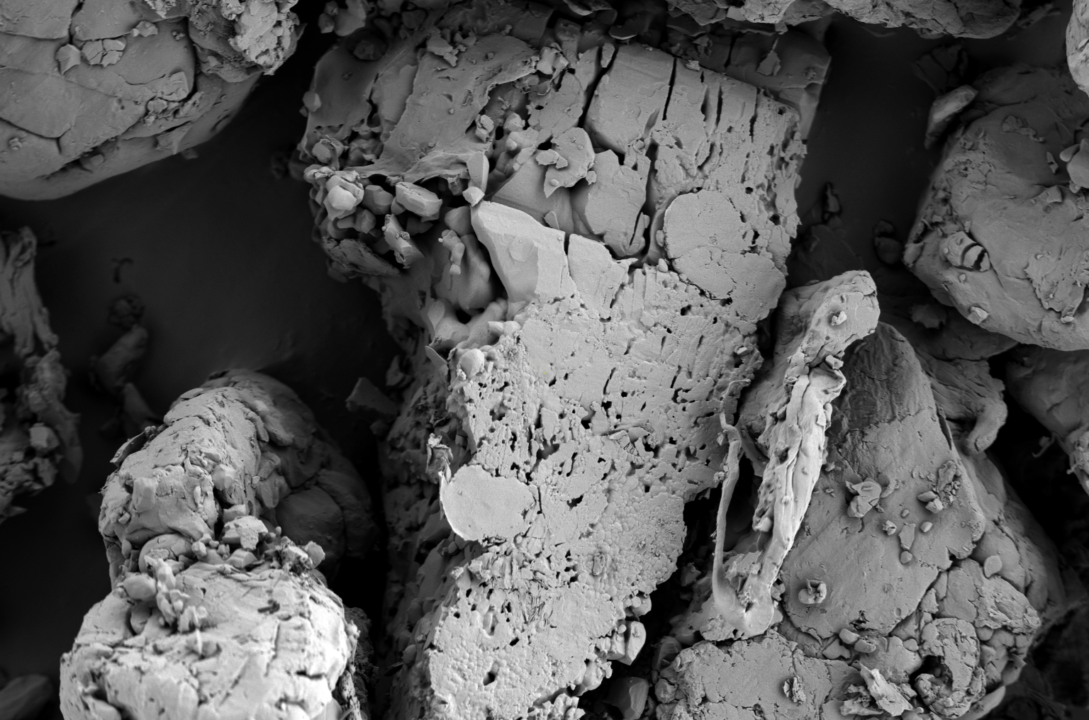 扫描电镜在药品研发与质量控制中的应用(图6) 扫描电镜在药品研发与质量控制中的应用(图6)