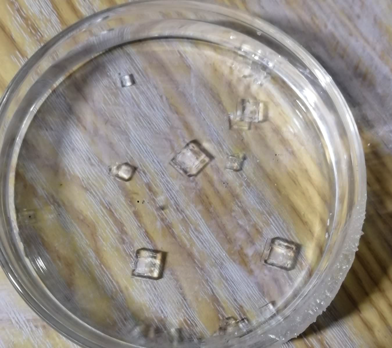 扫描电镜在药品研发与质量控制中的应用(图4) 扫描电镜在药品研发与质量控制中的应用(图4)