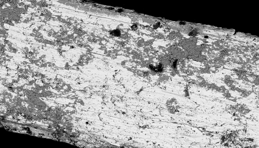 SuperSEM桌面式多功能实时能谱扫描电镜(图3)