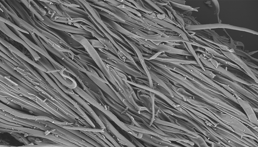 SuperSEM N10桌面式扫描电镜(图2)