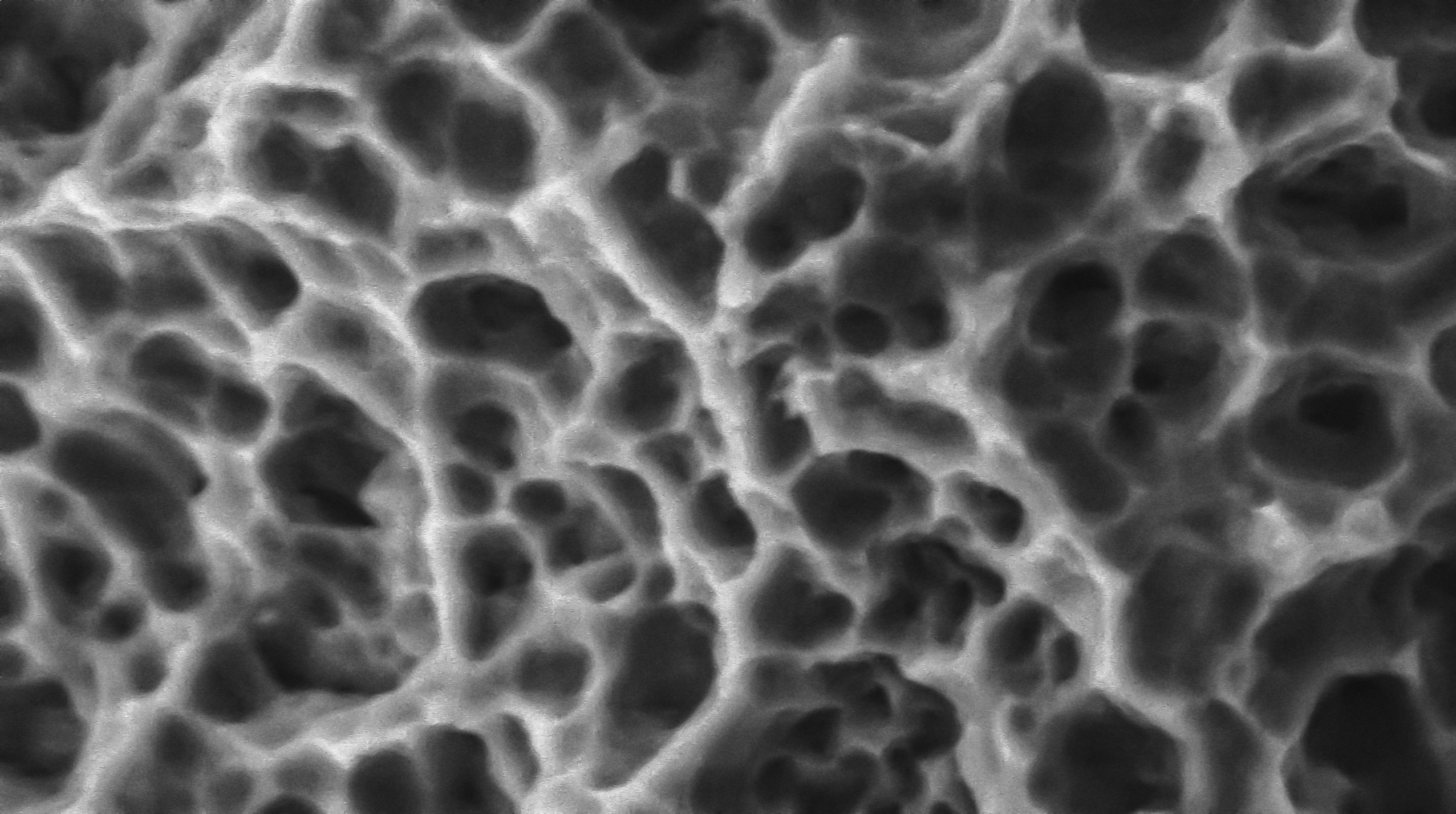 SuperSEM N10XL 在牙科种植体微观检测中的应用(图1)