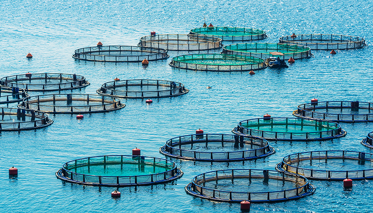 TX8000水质重金属在线监测系统(图7)