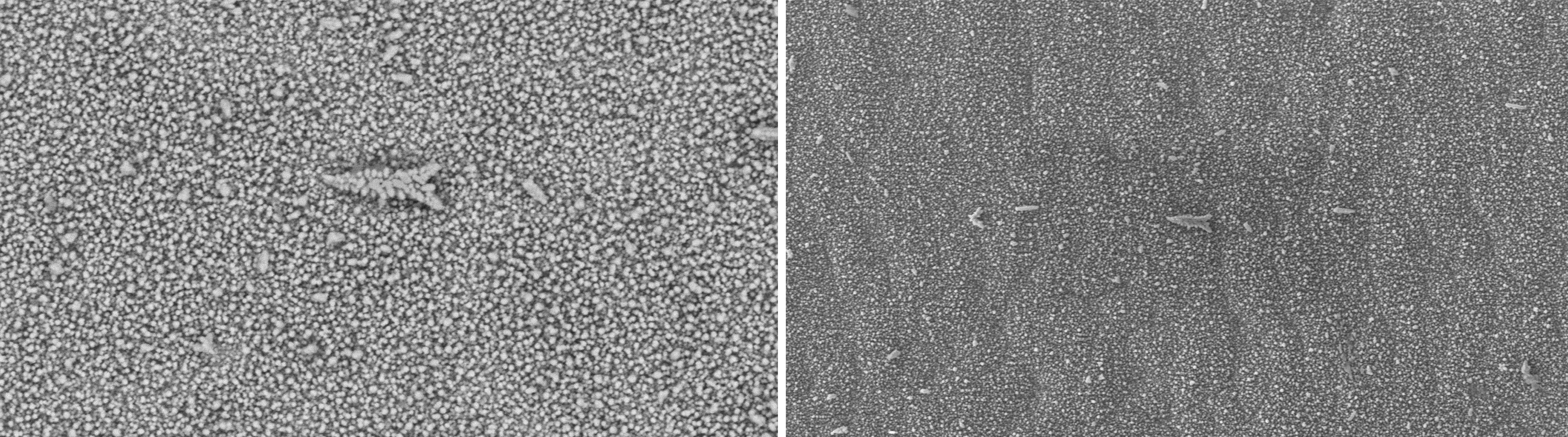  SuperSEM N10eX桌面式扫描电镜在铜箔表面颗粒缺陷检测中的应用(图1)